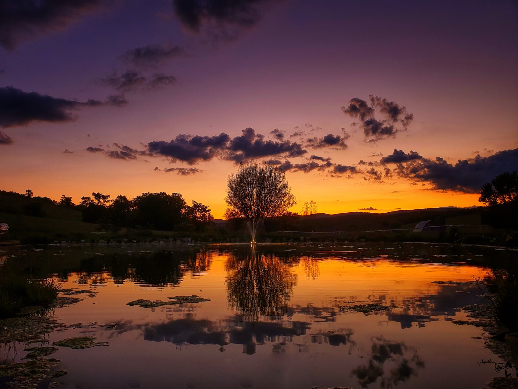 Sunset reflected in the pond at Eupepsia, the sky in orange and violet